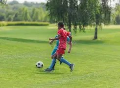 主场荣耀,客场雄风,负谁能笑到,平博体育官网,平博体育平台,平博体育链接,平博体育官方