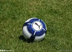 主场荣耀,客场雄风,负谁能笑到,平博体育官网,平博体育平台,平博体育链接,平博体育官方